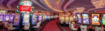 589 sold လောင်းကစားတွင် live betting dashboard နှင့် real-time odds updates များ